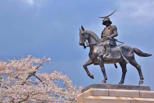 宮城県仙台市伊達正宗公銅像と桜の写真